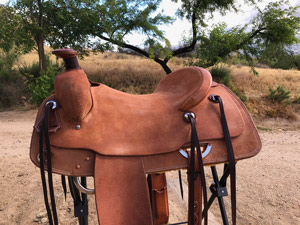Four Peaks Saddlery Saddle Photograph