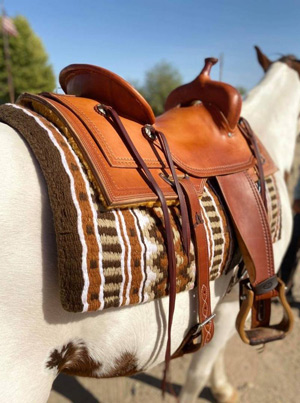 Four Peaks Saddlery Saddle Photograph